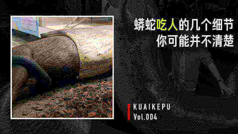 cover of next post